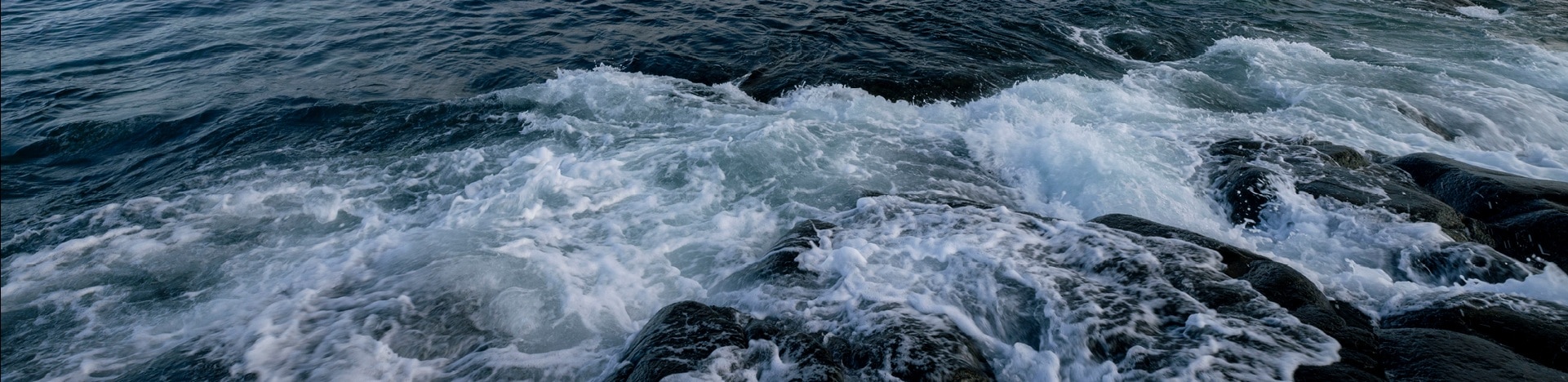 Стейк приготовленный на гриле