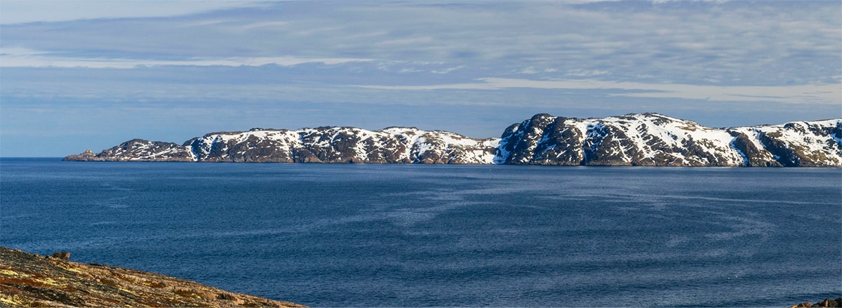 Оценка качества корпоративного управления