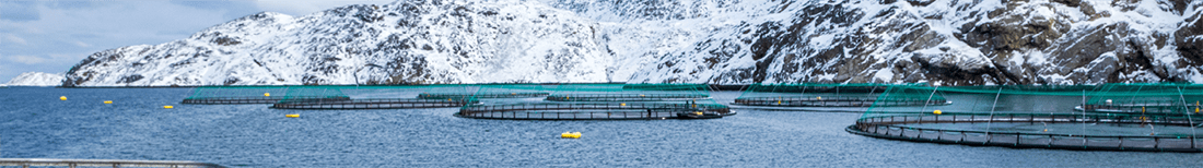 Вознаграждение членов Совета директоров