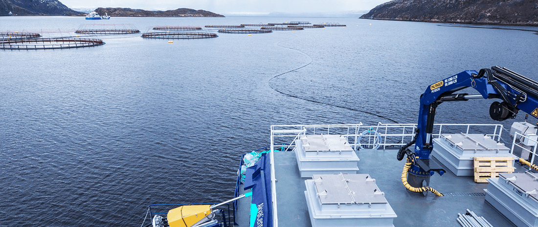 Контроль и аудит