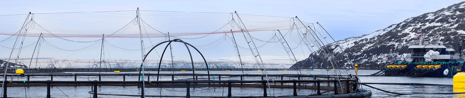 Горячая линия