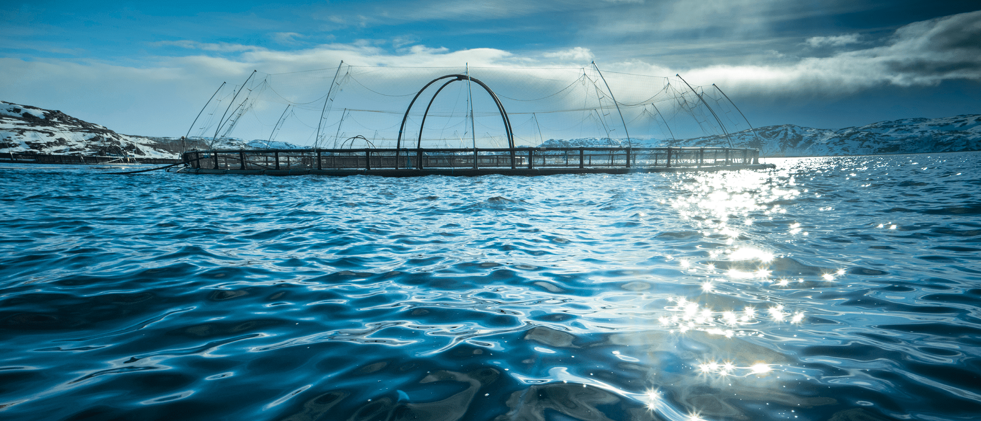 Взаимодействие с акционерами